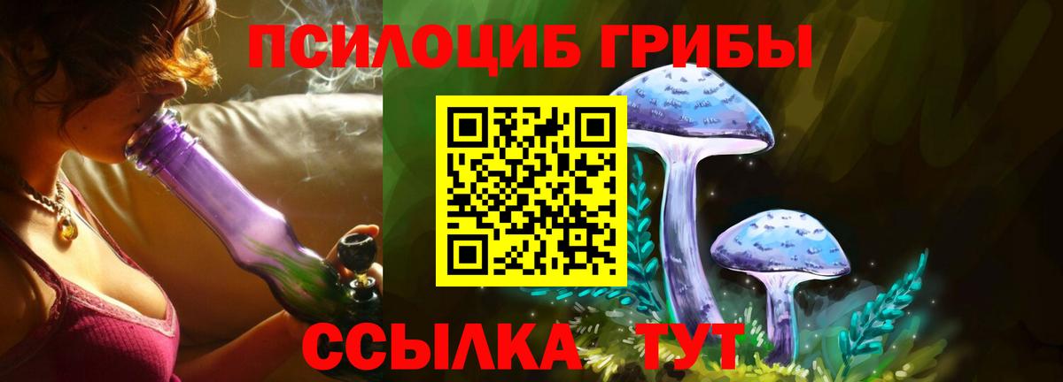 Галлюциногенные грибы Magic Shrooms Нововоронеж